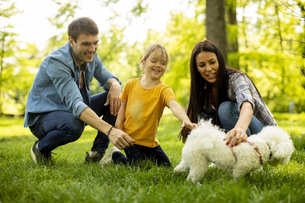 Term Life Insurance in Canada